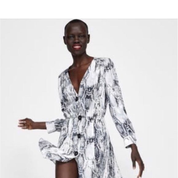 Zara Snake Skin Print Button Down Dress. - Picture 2 of 11